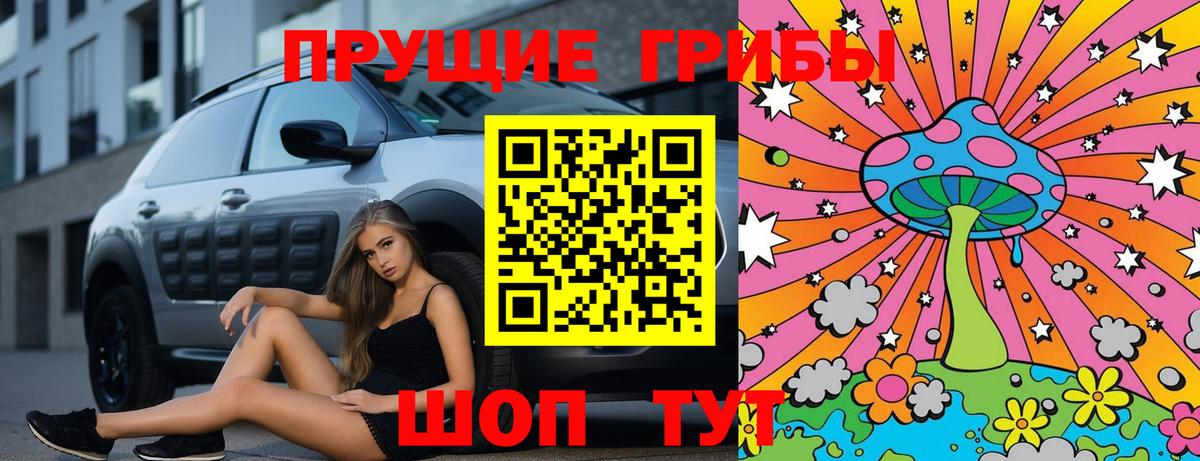 Псилоцибиновые грибы мицелий Кольчугино